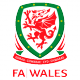 Welsh Shield / Flag