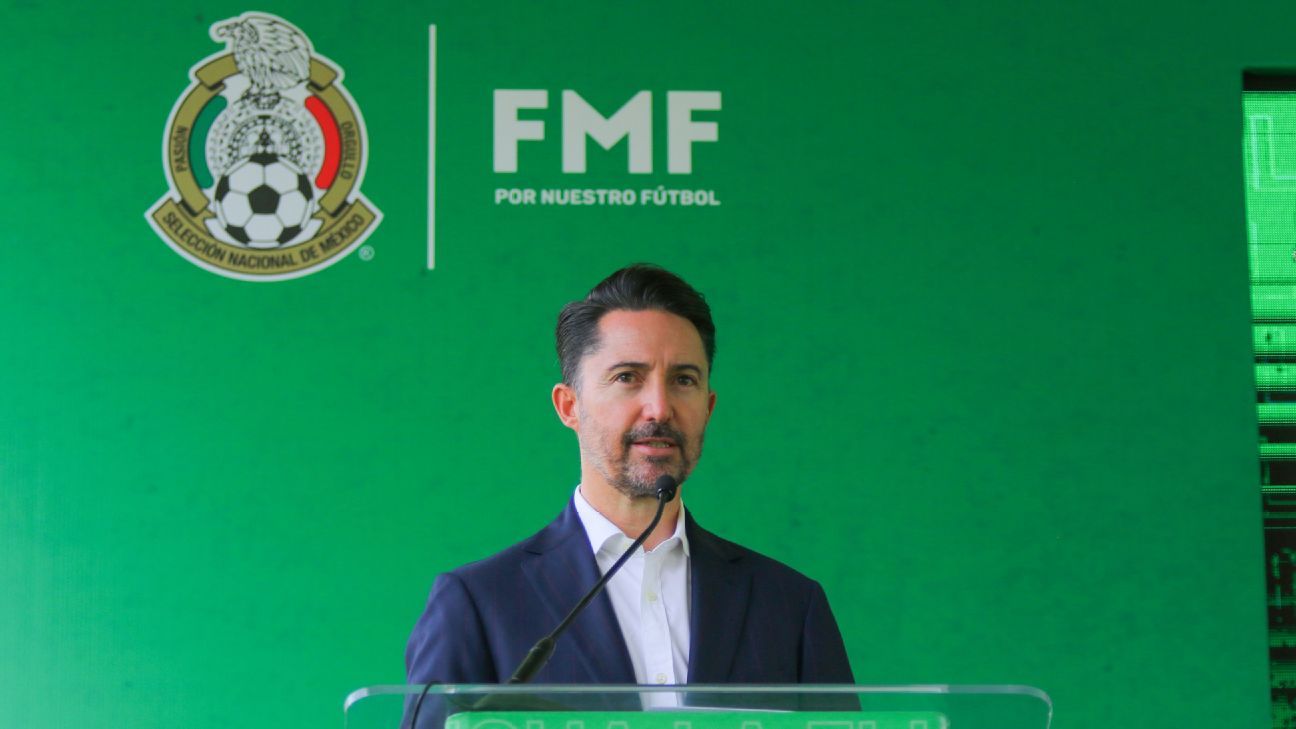 FMF responds to the Chamber of Deputies on FIFA regulations regarding punishment for shouting