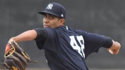 This young man could soon shine in Yankees