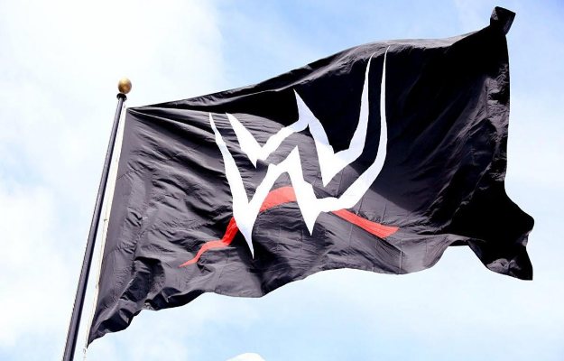 Wrestler fired from WWE opens the doors to her retirement