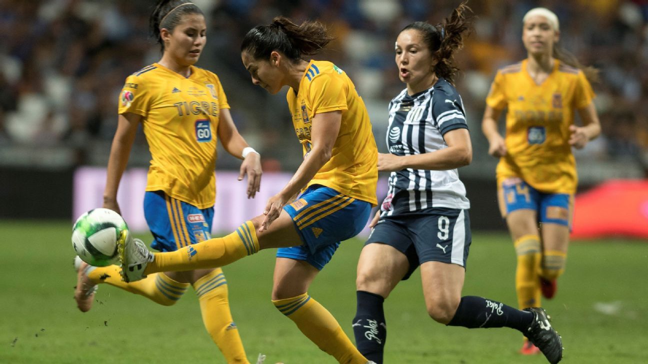 Tigres Femenil faced with the challenge of winning Rayadas for