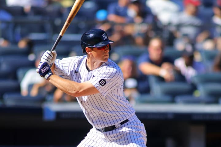 DJ LeMahieu's bat was one of the factors that influenced the performance of the New York Yankees during the past year.