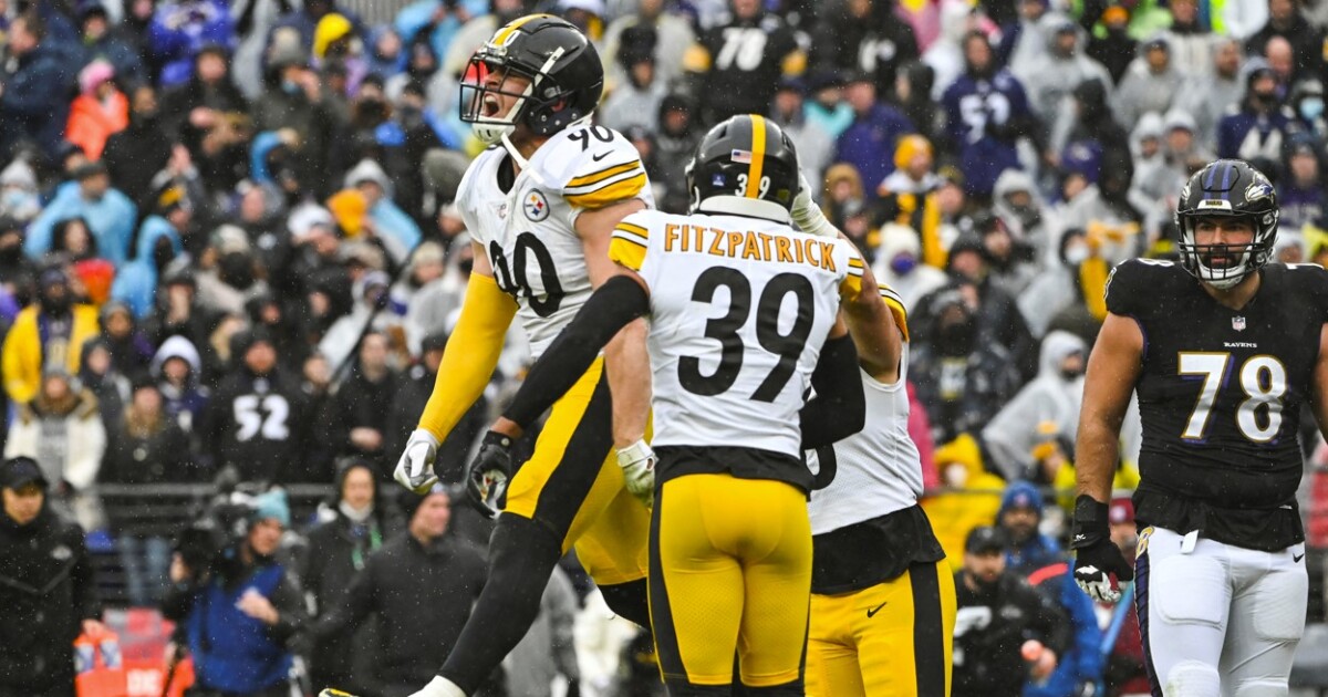Steelers beat Ravens in overtime and dream of playoffs