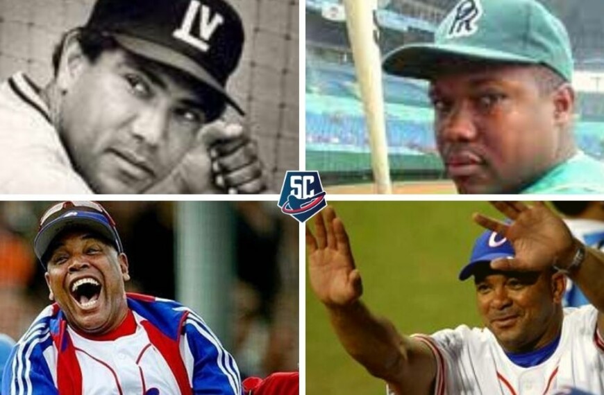 Wood Bat vs. Aluminium: Two Ideal Cuba Teams and What Their Numbers Said