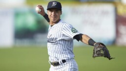 Four Yankees prospects in ESPN's Top 100 Prospects Ranking