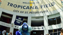 MLB with urgency to find a new stadium for the Rays