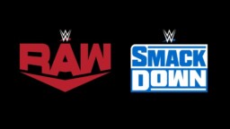 WWE would have recorded a SmackDown fight after RAW went on the air
