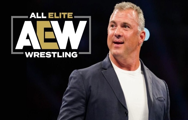 Shane McMahon is named in AEW Dynamite Wrestling Planet