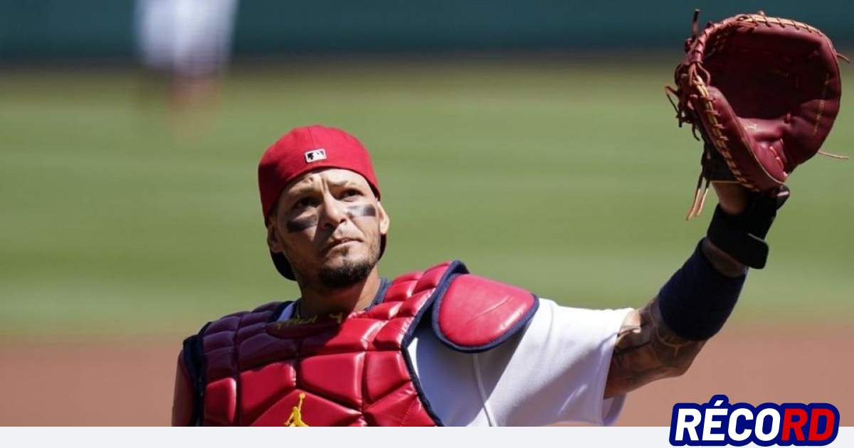 Yadier Molina Last projection and salary in the Major Leagues