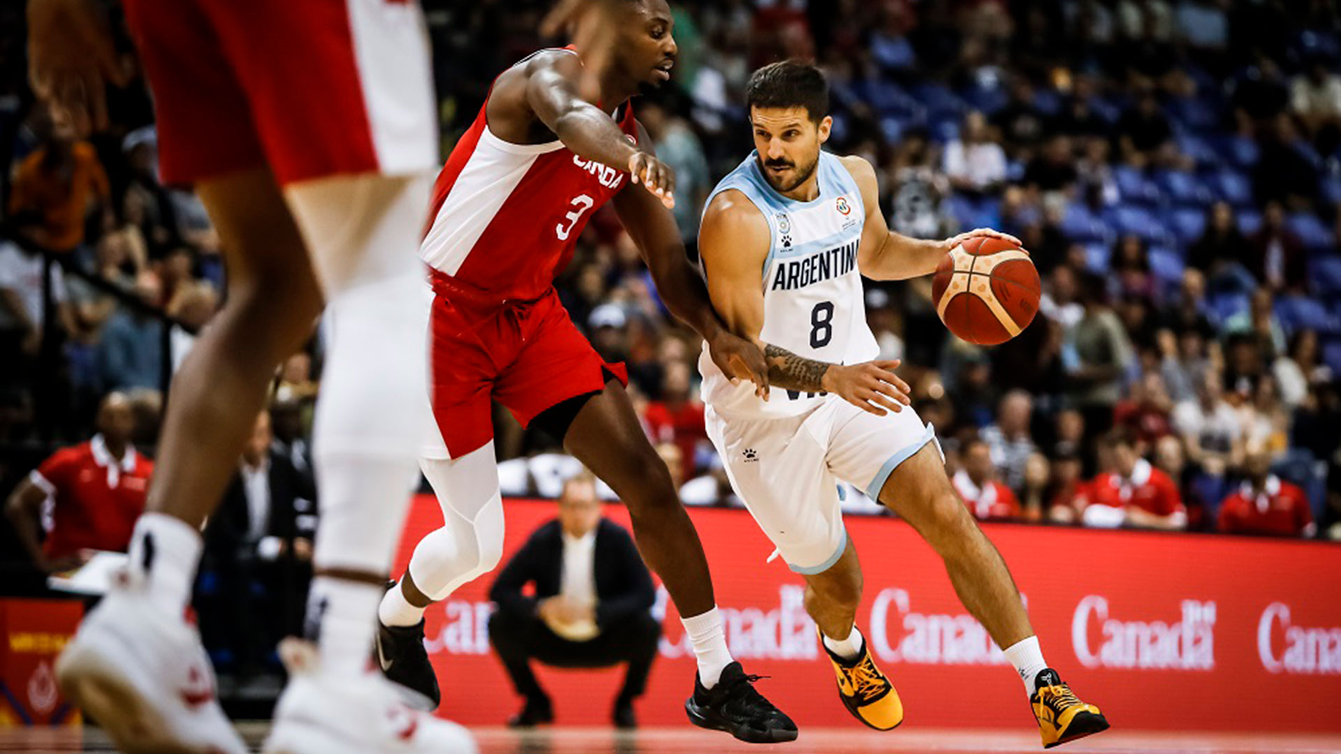 Laprovittola, another of Argentina's cards in the Americup (FIBA)